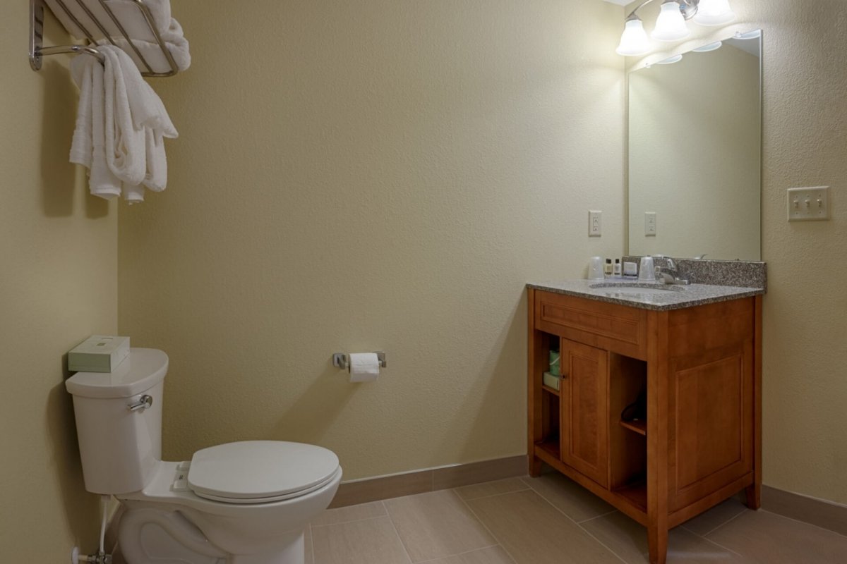 a bathroom with a sink, toilet and mirror