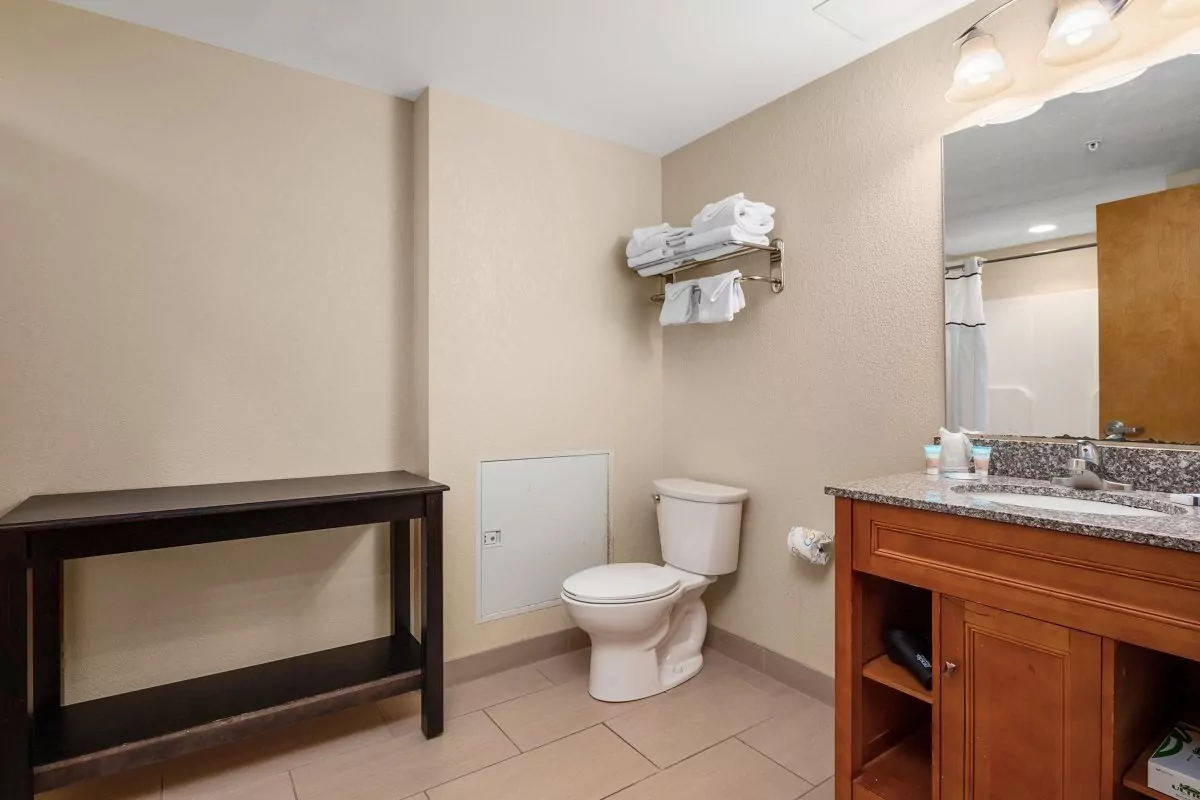 a bathroom with a sink, toilet and mirror