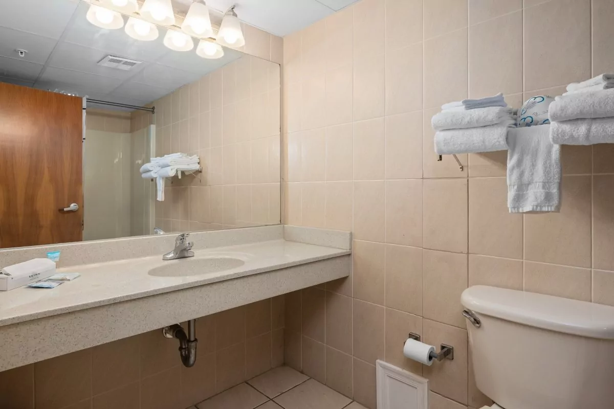 a bathroom with a toilet, sink and mirror